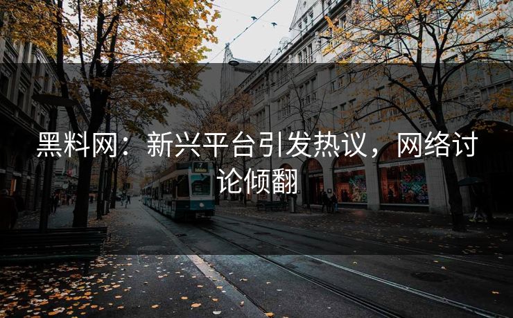 黑料网：新兴平台引发热议，网络讨论倾翻
