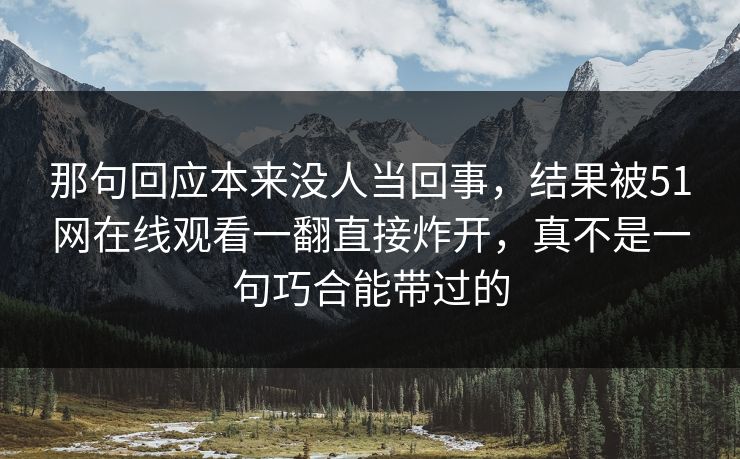 那句回应本来没人当回事，结果被51网在线观看一翻直接炸开，真不是一句巧合能带过的
