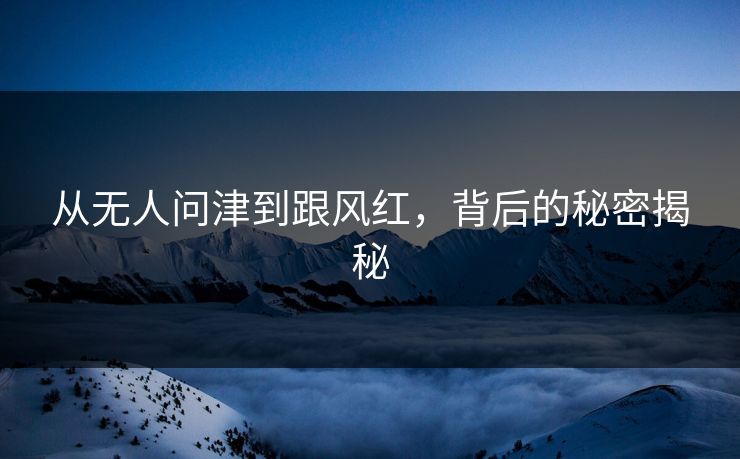 从无人问津到跟风红，背后的秘密揭秘